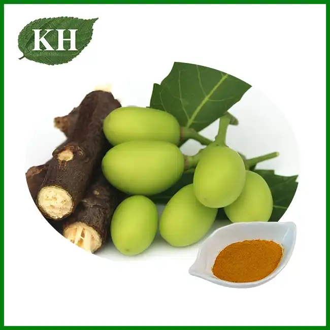 Neem Extract Powder